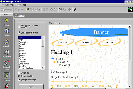 FrontPage Explorer Themes