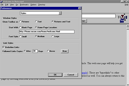 Mosaic Netscape version 0.9 beta – Preferences