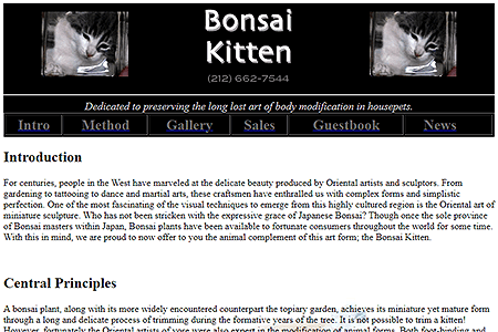 Bonsai Kitten website in 2001