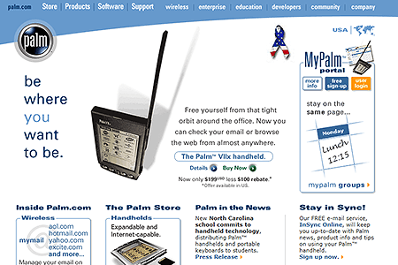 Palm website in 2001