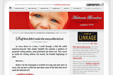 Cameron Moll website in 2004