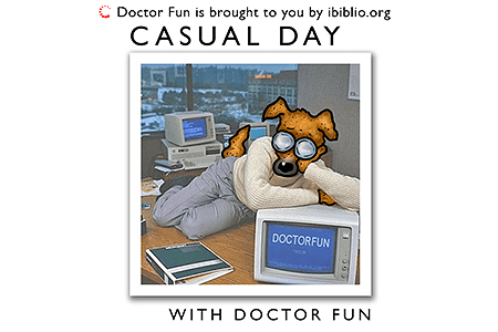 Doctor Fun website in 2004