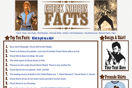Chuck Norris Facts website in 2006