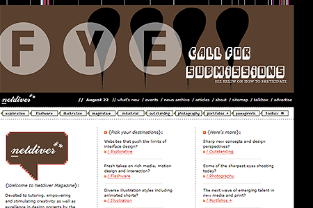 Netdiver website in 2006
