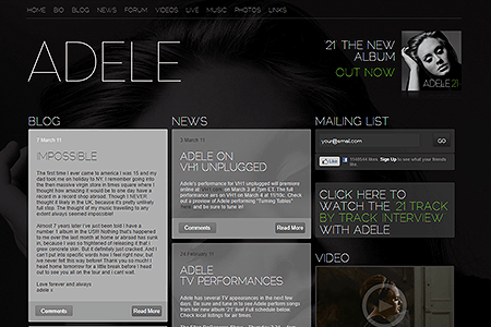 Adele website in 2011