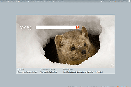 Bing website in 2011