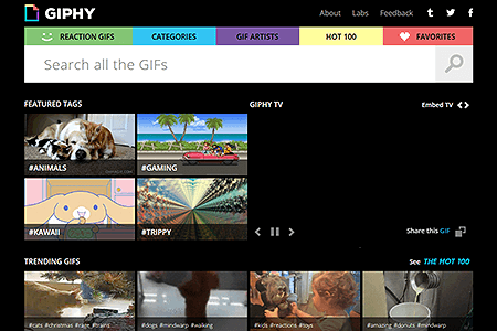 GIPHY website in 2013