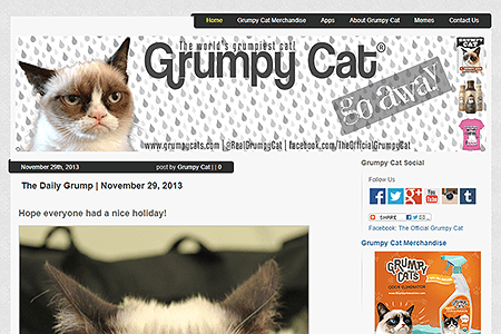 Grumpy Cat website in 2013