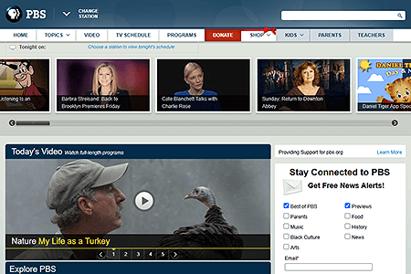 PBS website in 2013