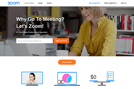 Zoom website in 2014