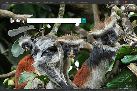 Bing website in 2016