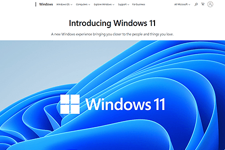 Windows 11 website in 2021
