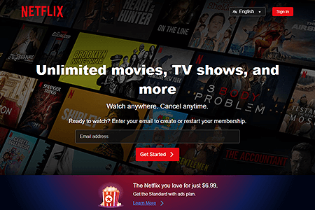 Netflix website in 2024