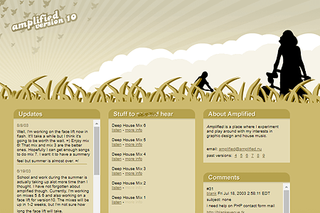 Amplified website in 2003