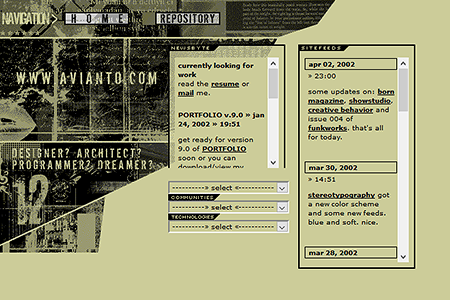 Avianto website in 2002