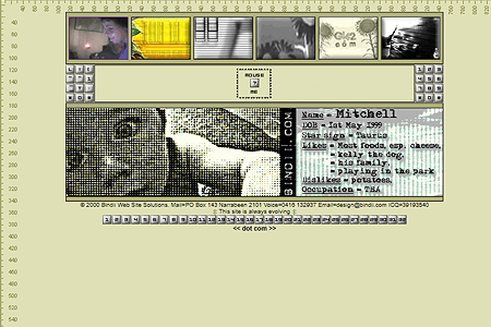 Bindii website in 2000