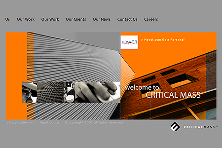 Critical Mass website in 2002