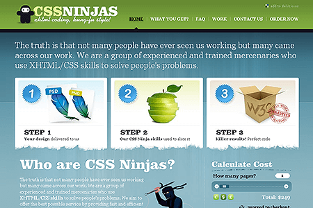 CSS Ninjas website in 2008