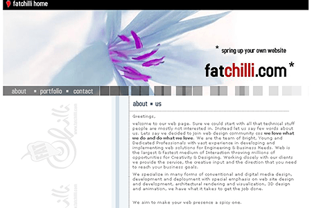 Fatchilli website in 2002