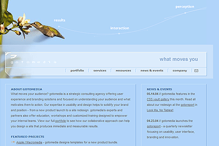 Gotomedia website in 2004