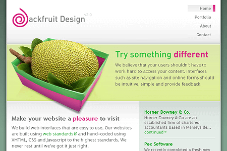 Jackfruit Design in 2006