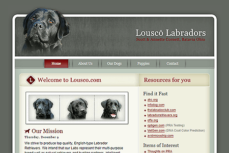 Lousco Labradors website in 2004