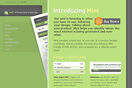 Mint website in 2005