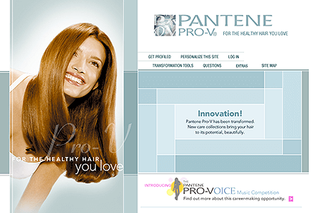 Pantene Pro V website in 2001