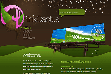 Pink Cactus website in 2007