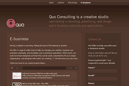 Quo Consulting website in 2005