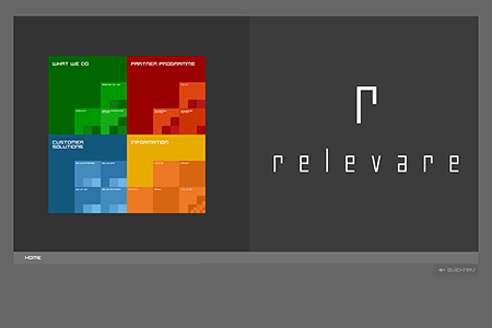 Relevare flash website in 2002