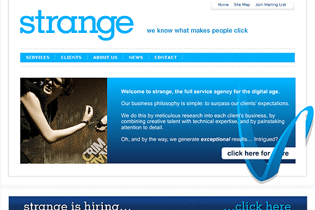 Strange Corporation website in 2006