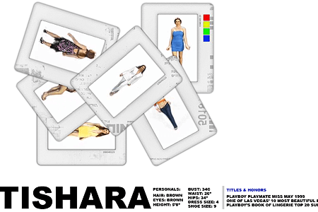 Tishara flash website in 2004