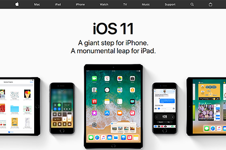 Apple website in 2017