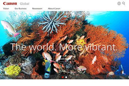 Canon website in 2016