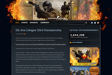 Counter-Strike website in 2014