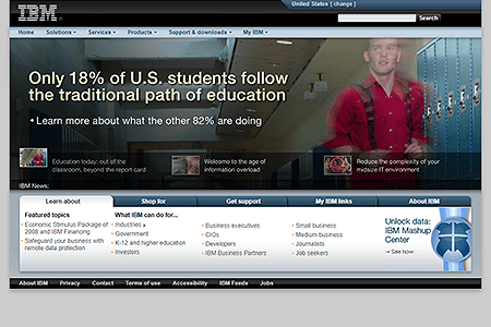 IBM website in 2008