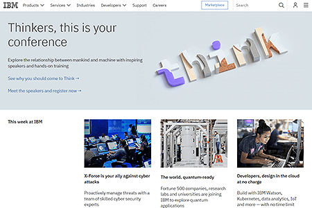 IBM website in 2017