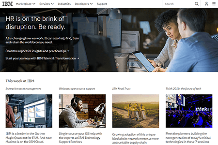 IBM website in 2018