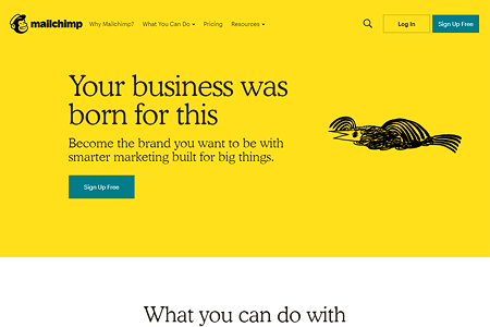 Mailchimp website in 2018