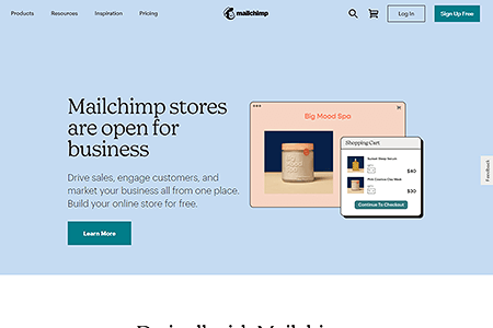 Mailchimp website in 2021