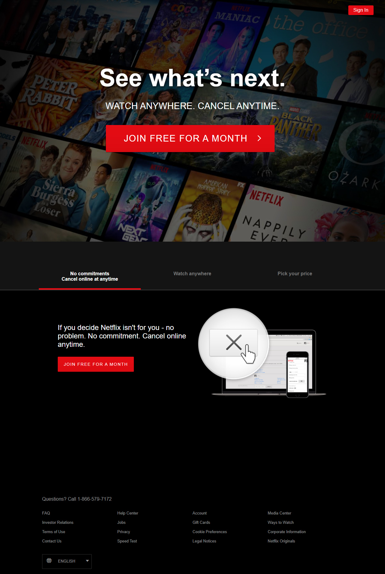 Netflix website in 2018