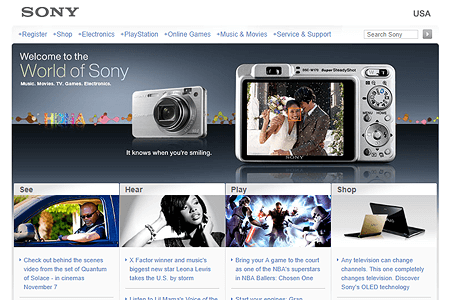 Sony website in 2008