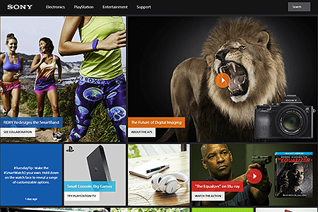 Sony website in 2014