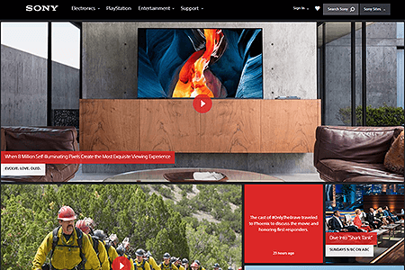 Sony website in 2017