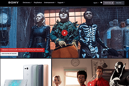 Sony website in 2018