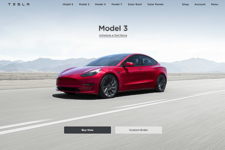 Tesla website in 2022