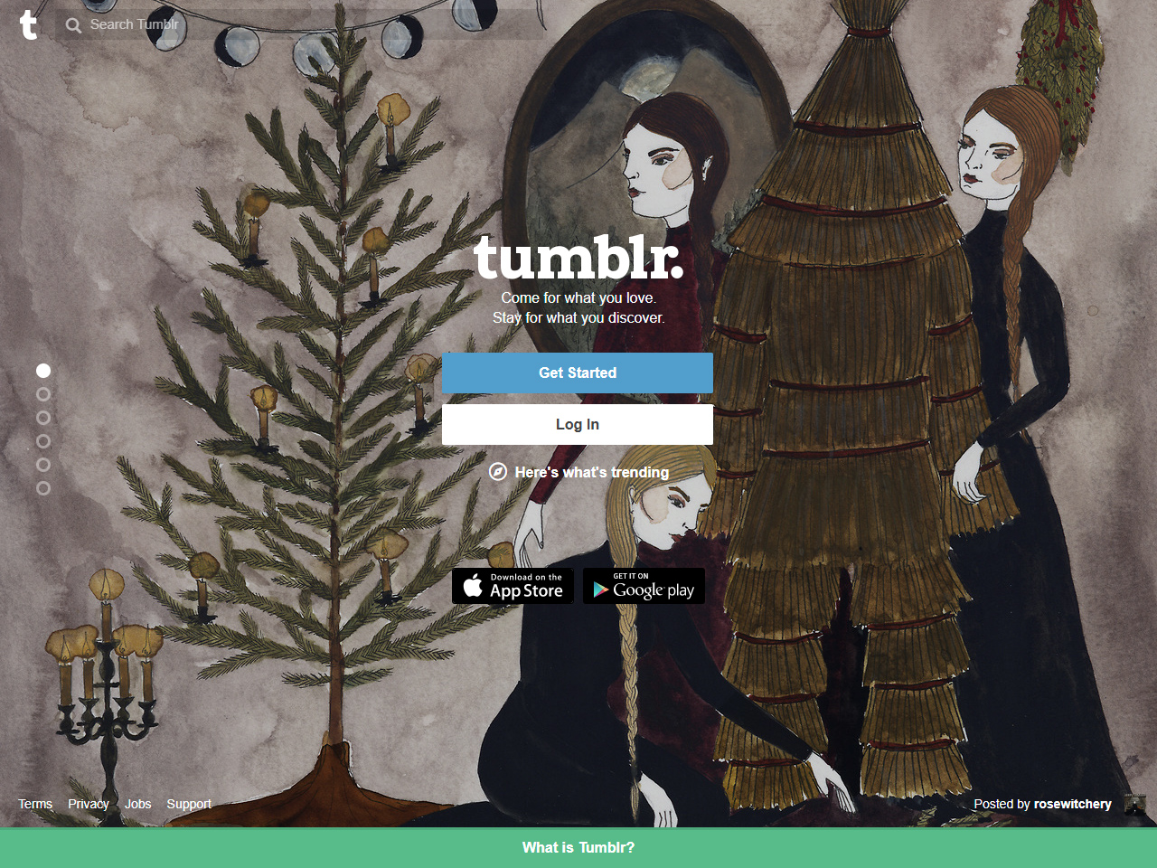 Tumblr website in 2017