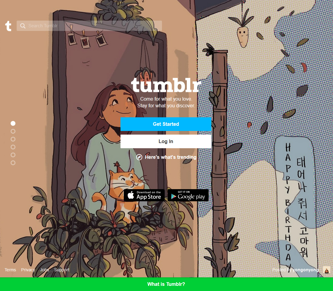 Tumblr in 2019