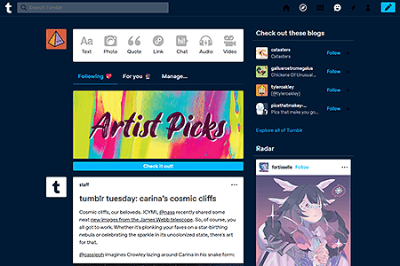 Tumblr website in 2022